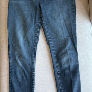 Everlane Dark Blue Skinny Jeans